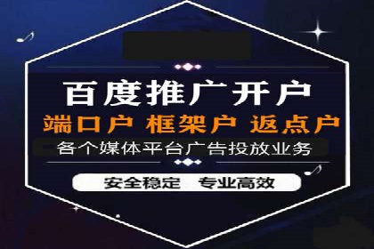 百度推广实战：成功企业的营销策略